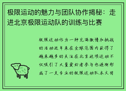 极限运动的魅力与团队协作揭秘：走进北京极限运动队的训练与比赛